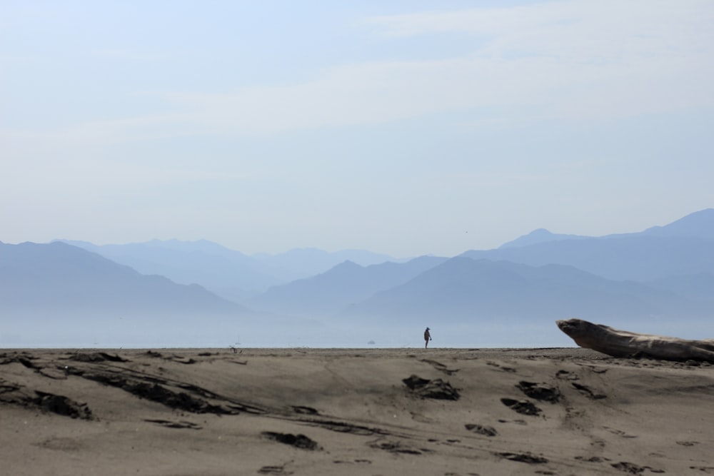 person walking on brown sand during daytime