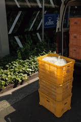 yellow plastic crate beside green plant