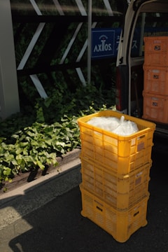 yellow plastic crate beside green plant