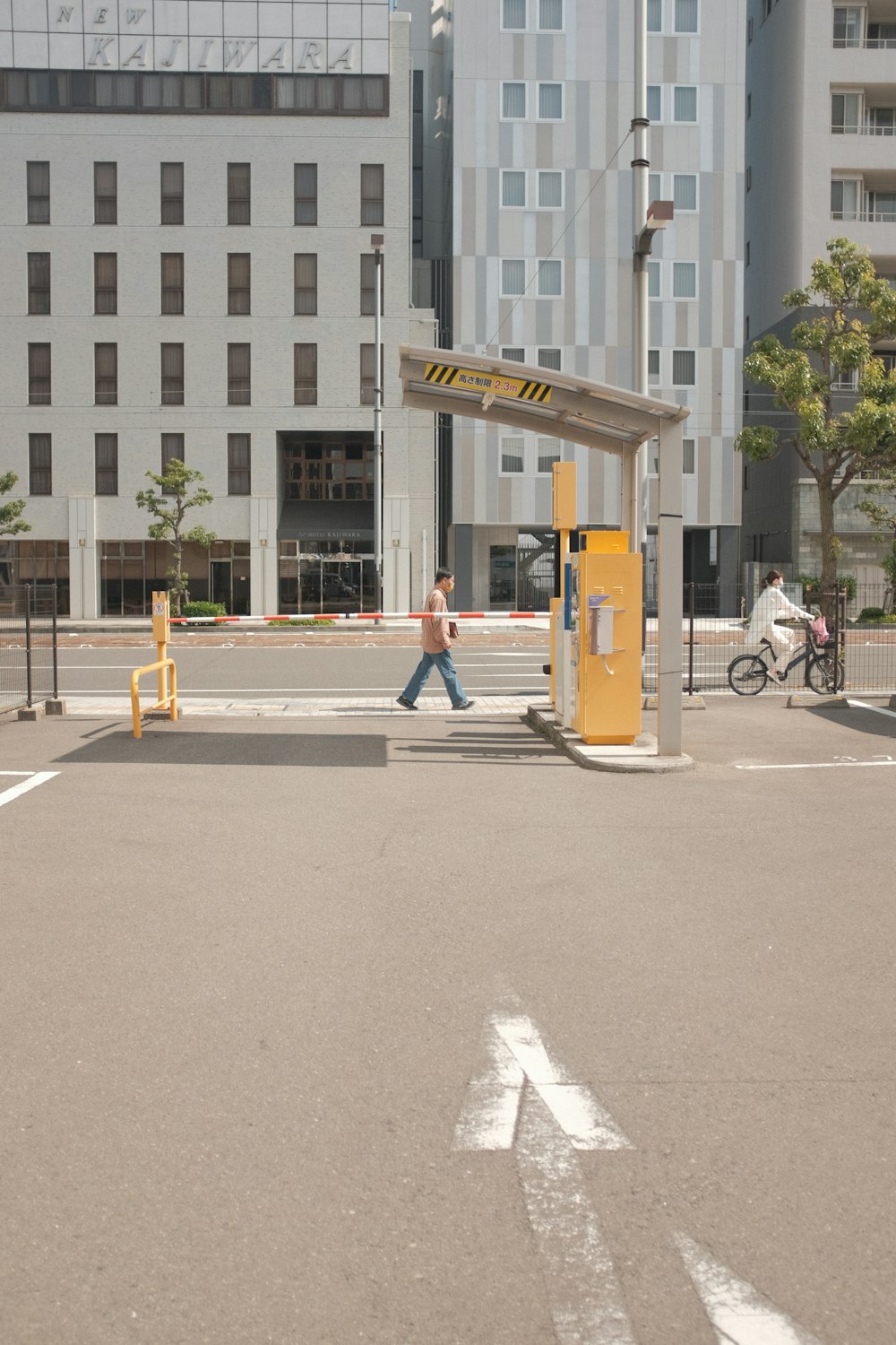 people walking on pedestrian lane near brown concrete building during daytime