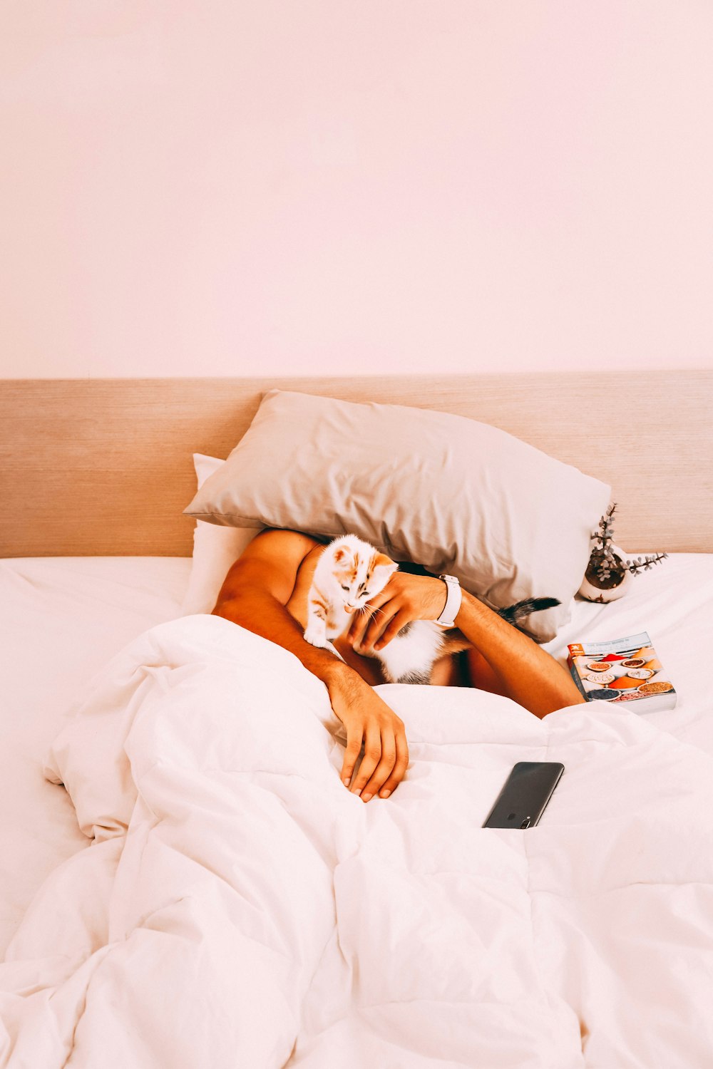 woman lying on bed using macbook