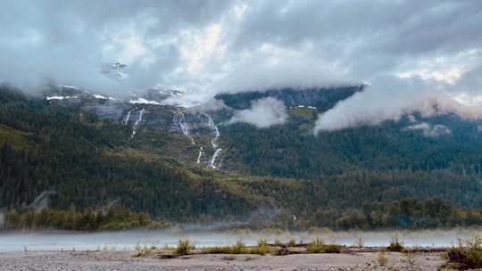 green trees on mountain under white clouds during daytime in Squamish River Canada