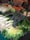 A vibrant market stall displays a variety of fresh vegetables. The assortment includes leeks, cabbages, carrots, and different types of leafy greens. Chalkboard signs with prices are visible, and the arrangement is abundant and colorful.
