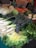 A vibrant market stall displays a variety of fresh vegetables. The assortment includes leeks, cabbages, carrots, and different types of leafy greens. Chalkboard signs with prices are visible, and the arrangement is abundant and colorful.