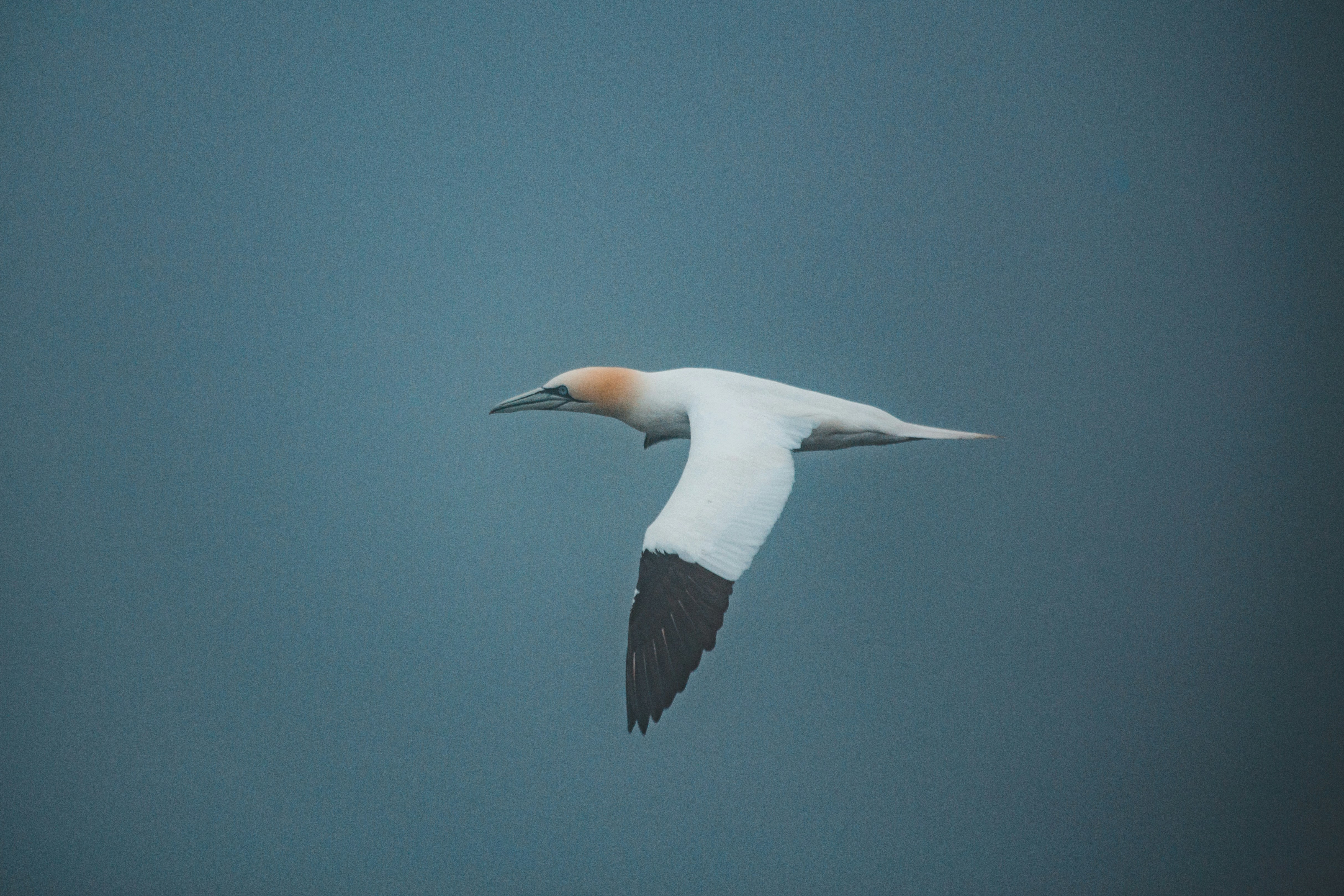 Photo by introspectivedsgn