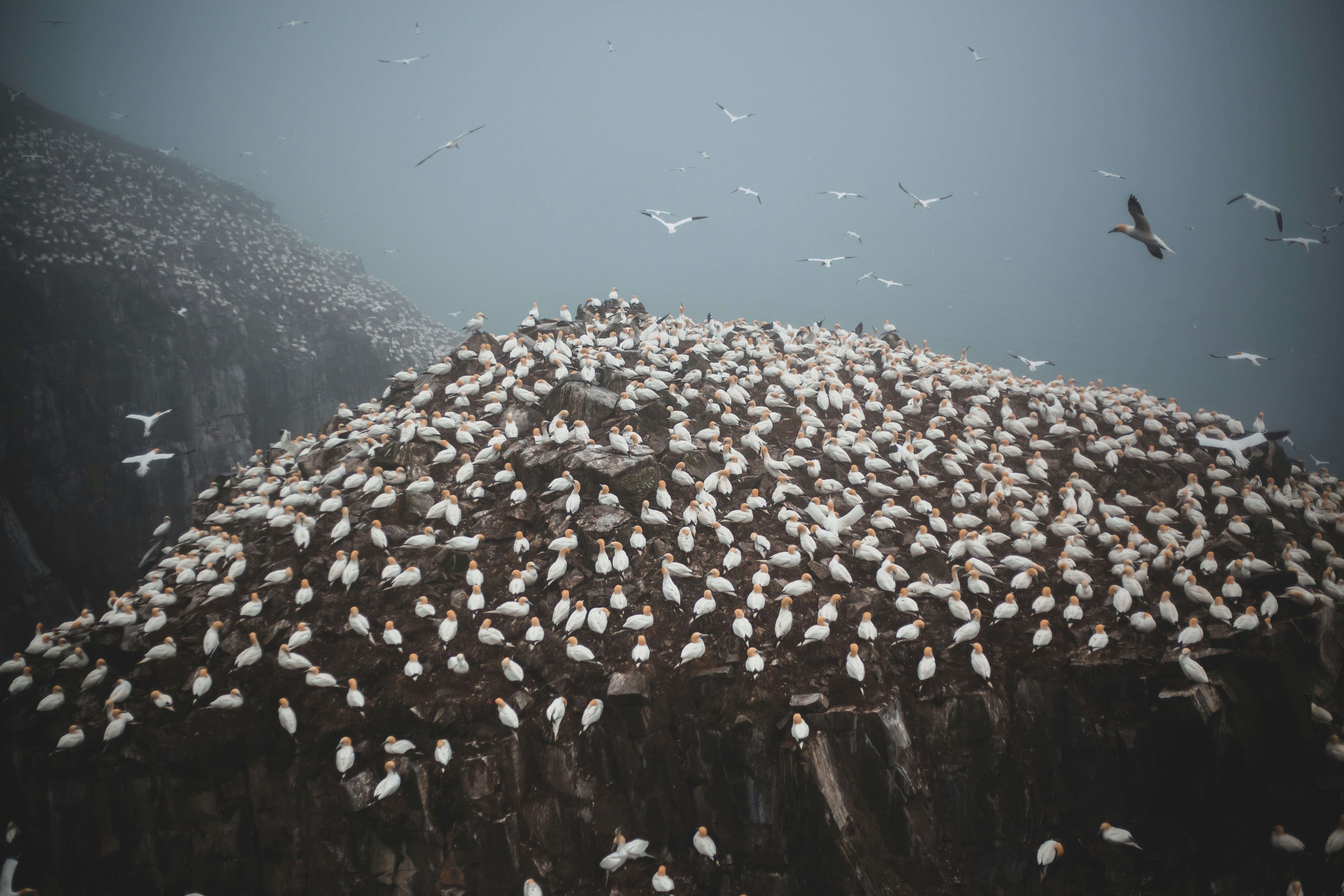 Photo by introspectivedsgn