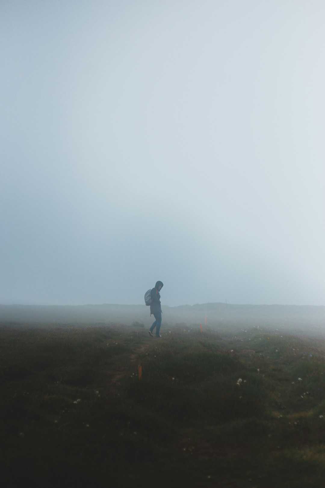 man in black jacket standing on green grass field during foggy weather