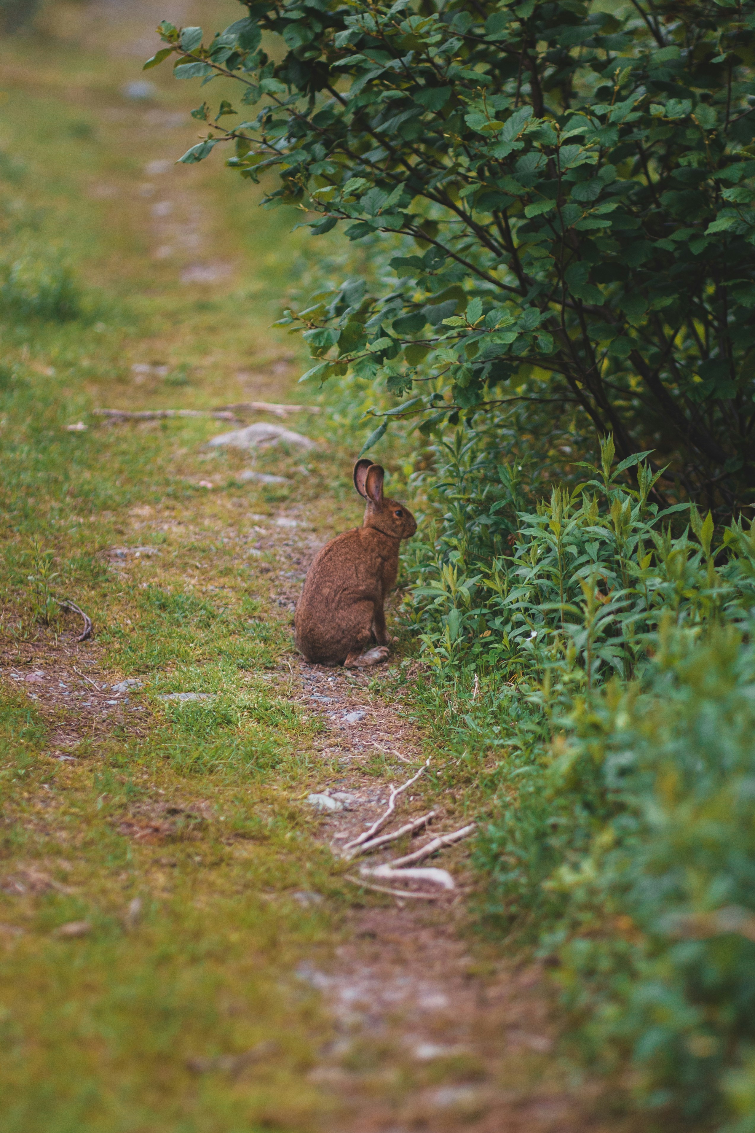 Photo by introspectivedsgn