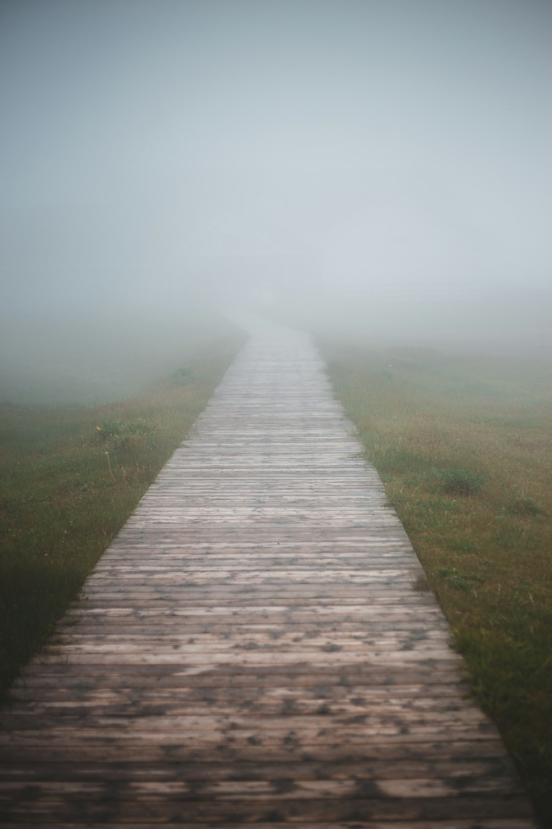 brown wooden pathway between green grass field