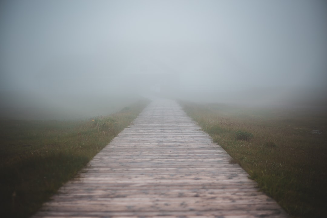 brown wooden pathway between green grass field under white sky during daytime