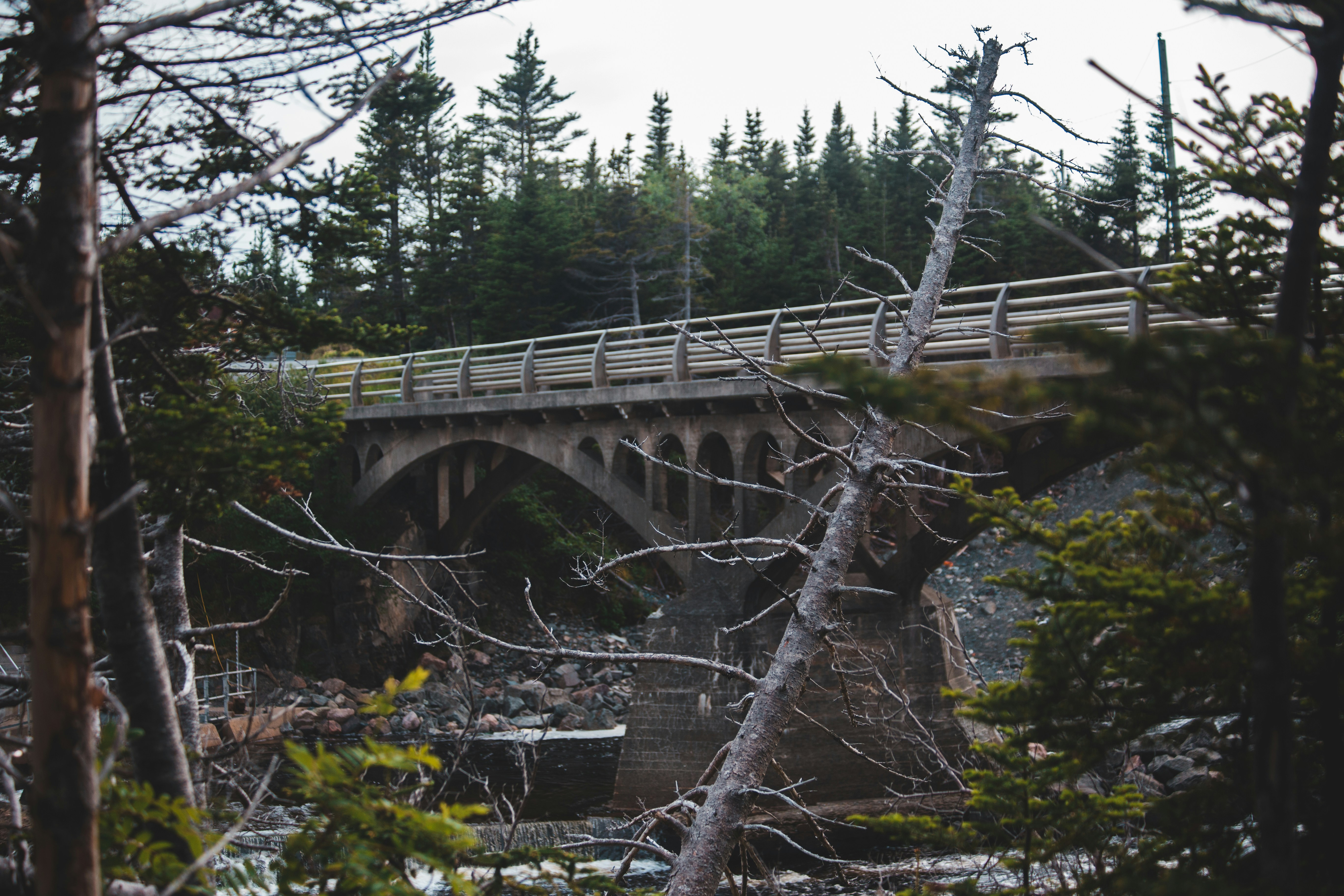 Photo by introspectivedsgn