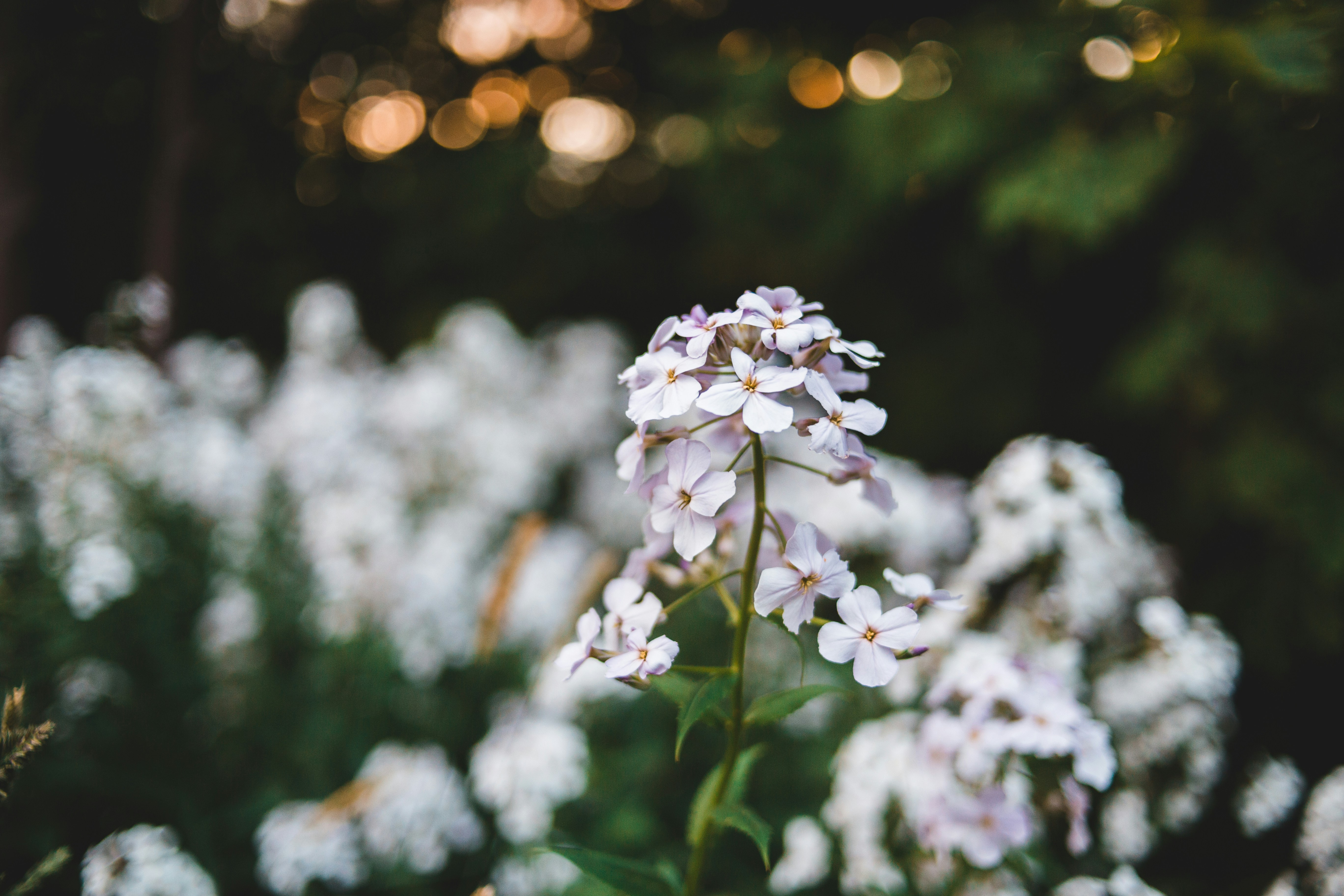 Photo by introspectivedsgn