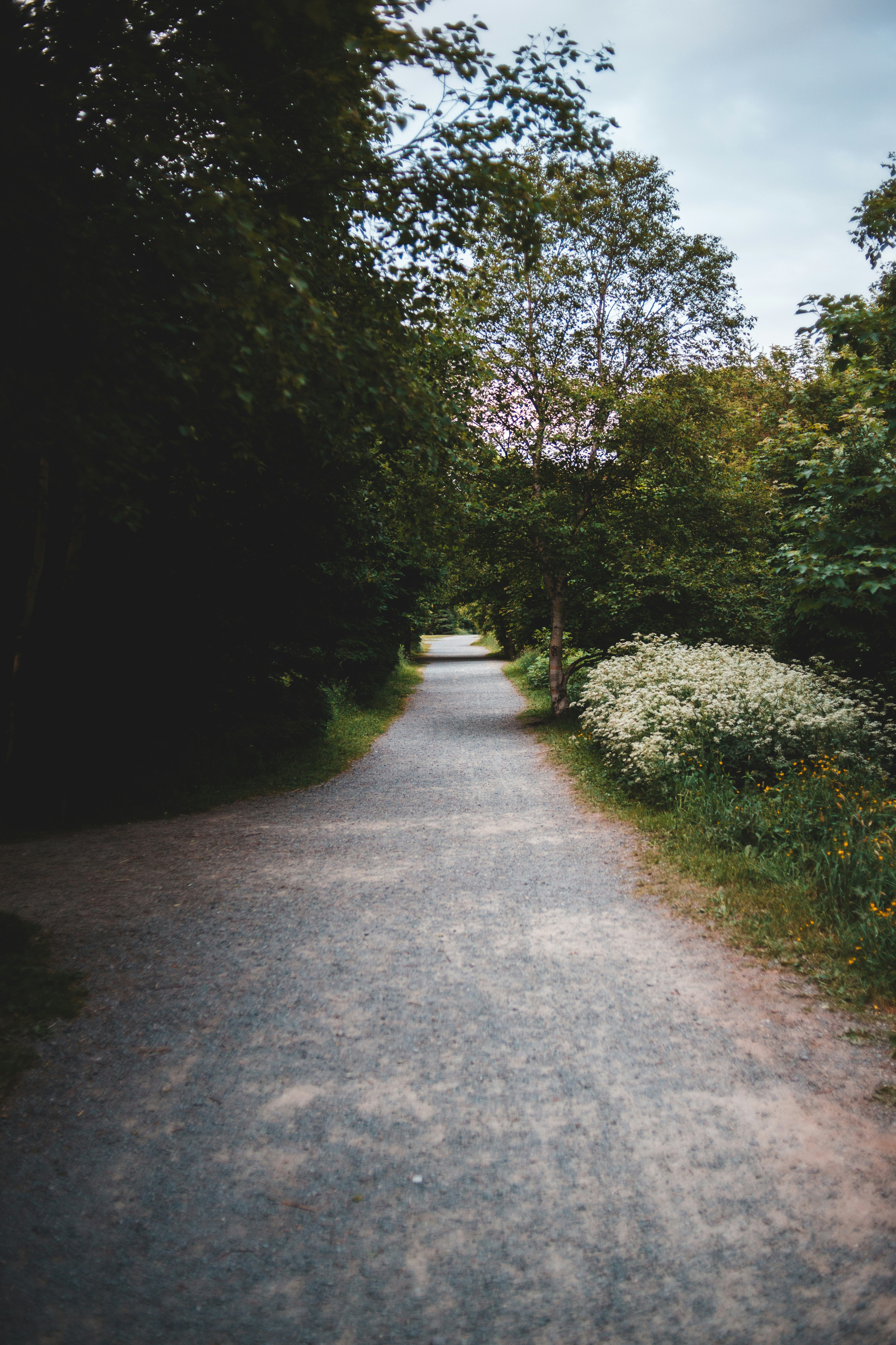 Photo by introspectivedsgn