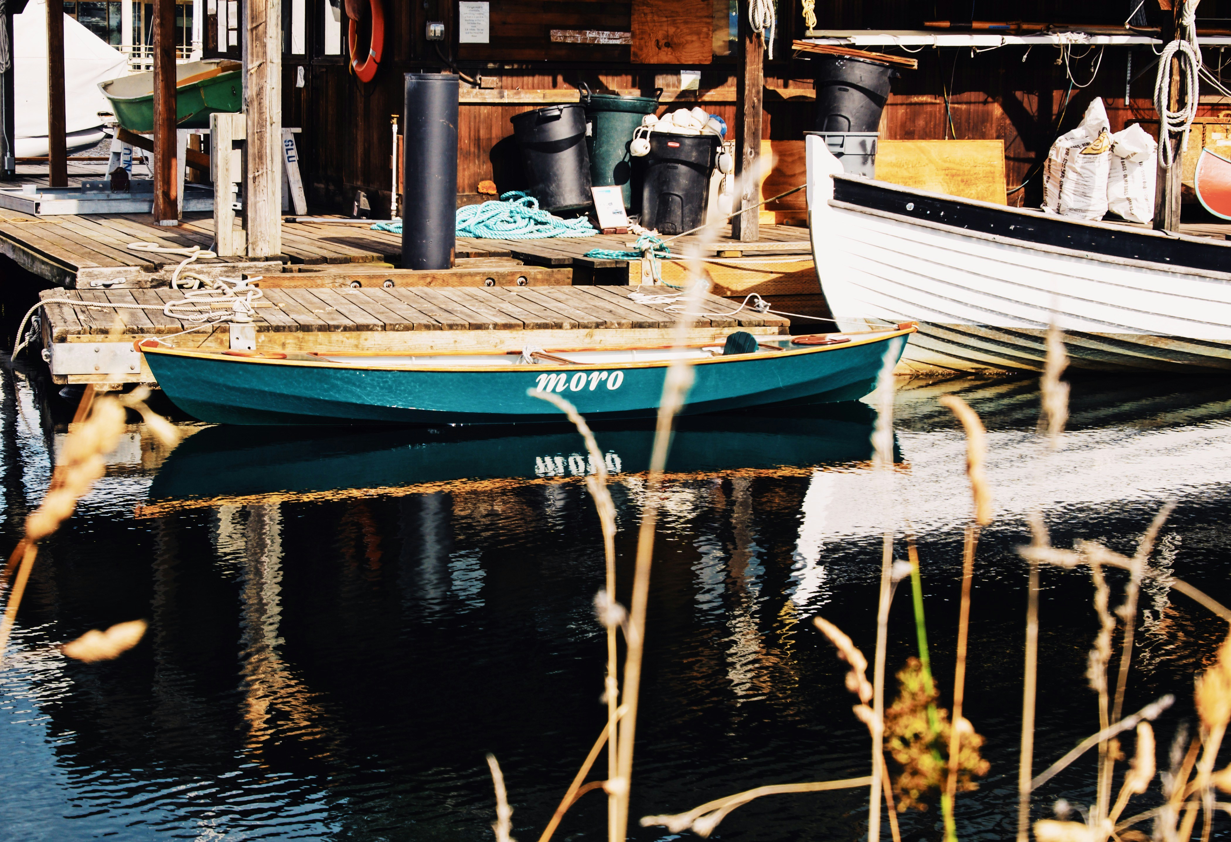 blue and white boat on water