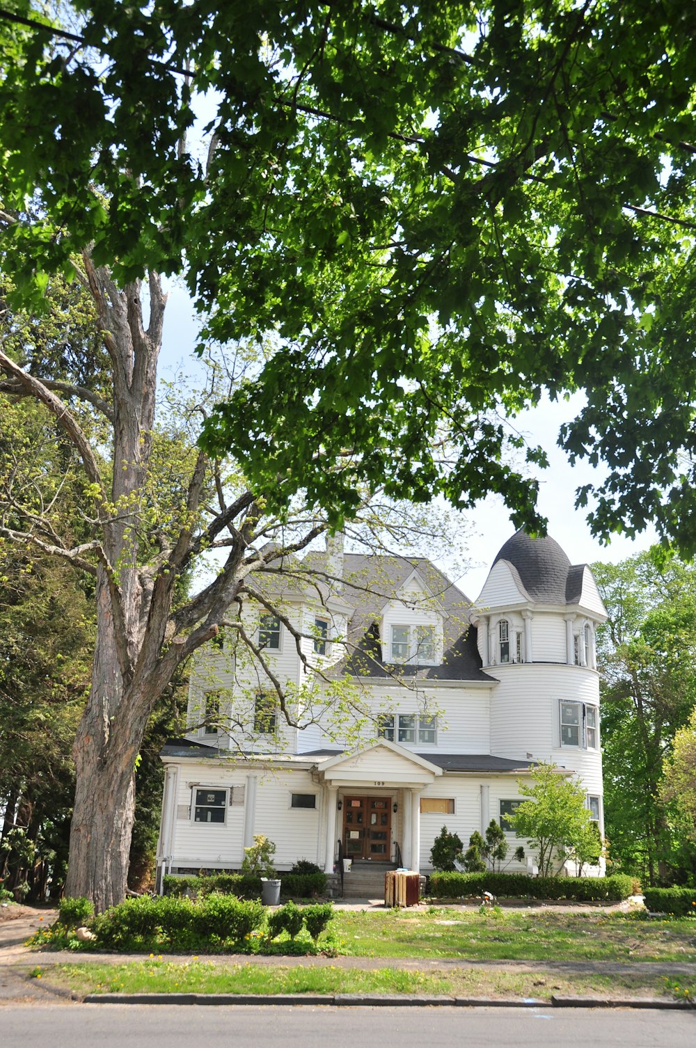 Casa blanca y marrón cerca de Green Tree durante el día