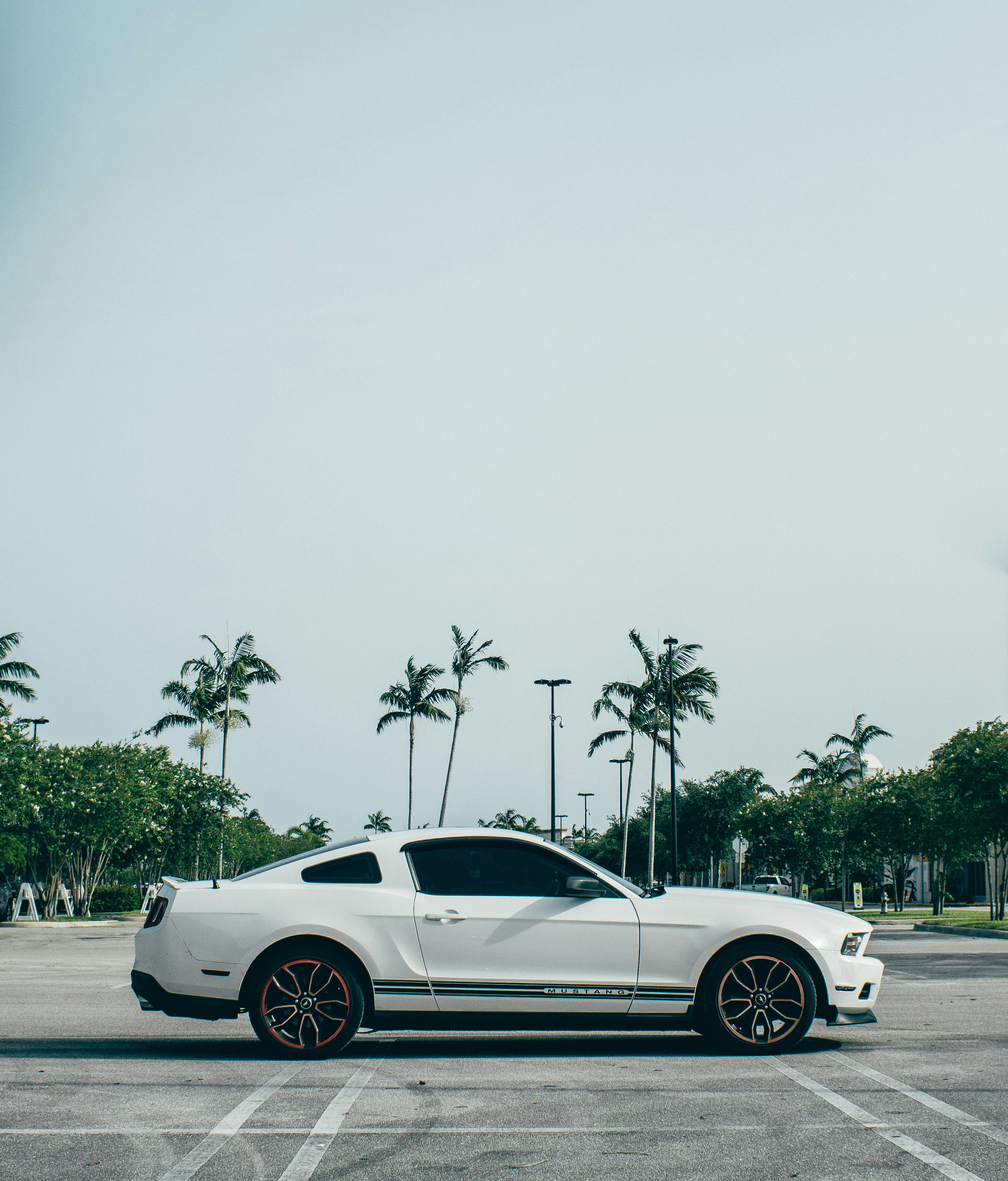 Photo by andredantan19