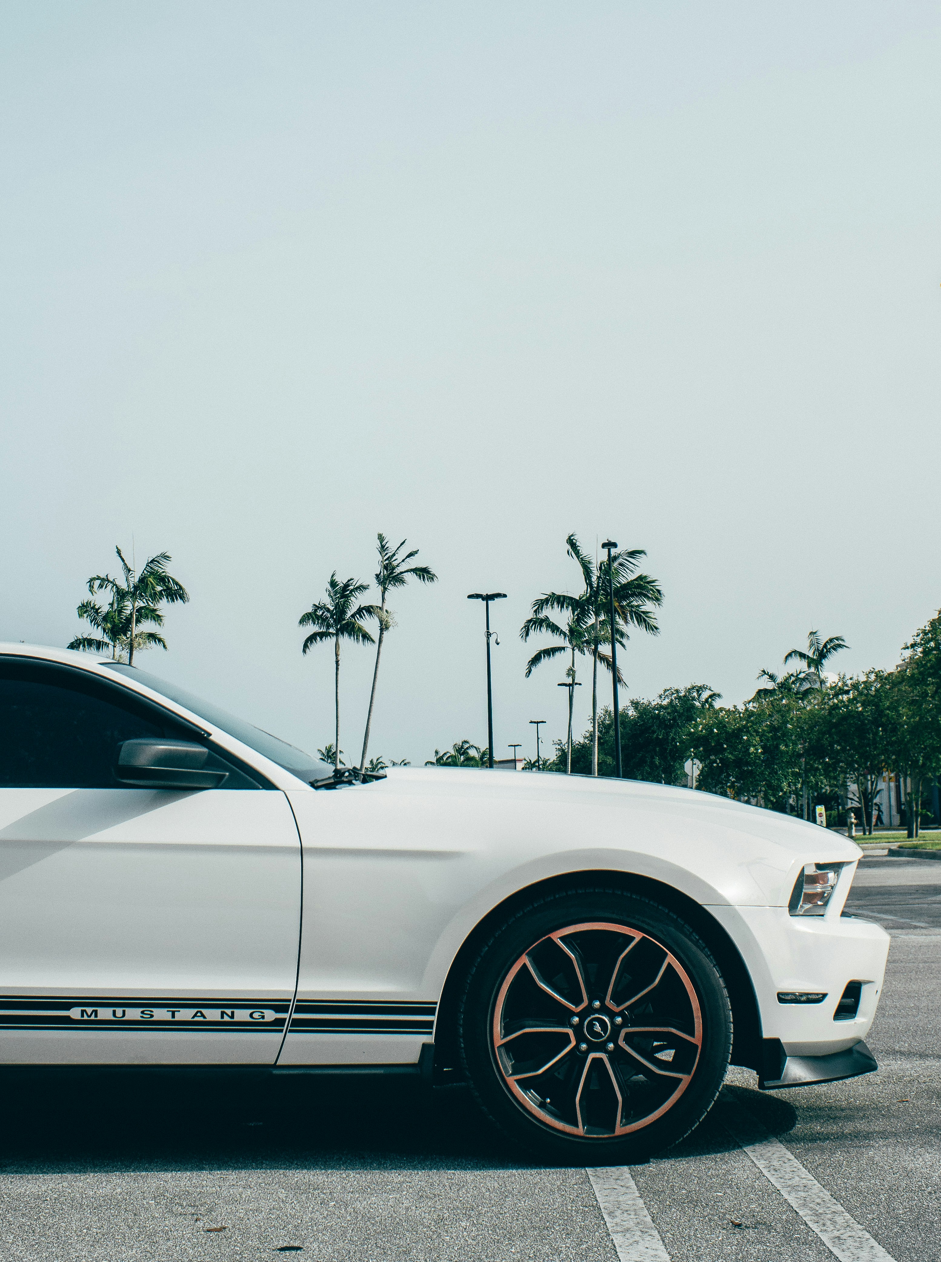 Photo by andredantan19