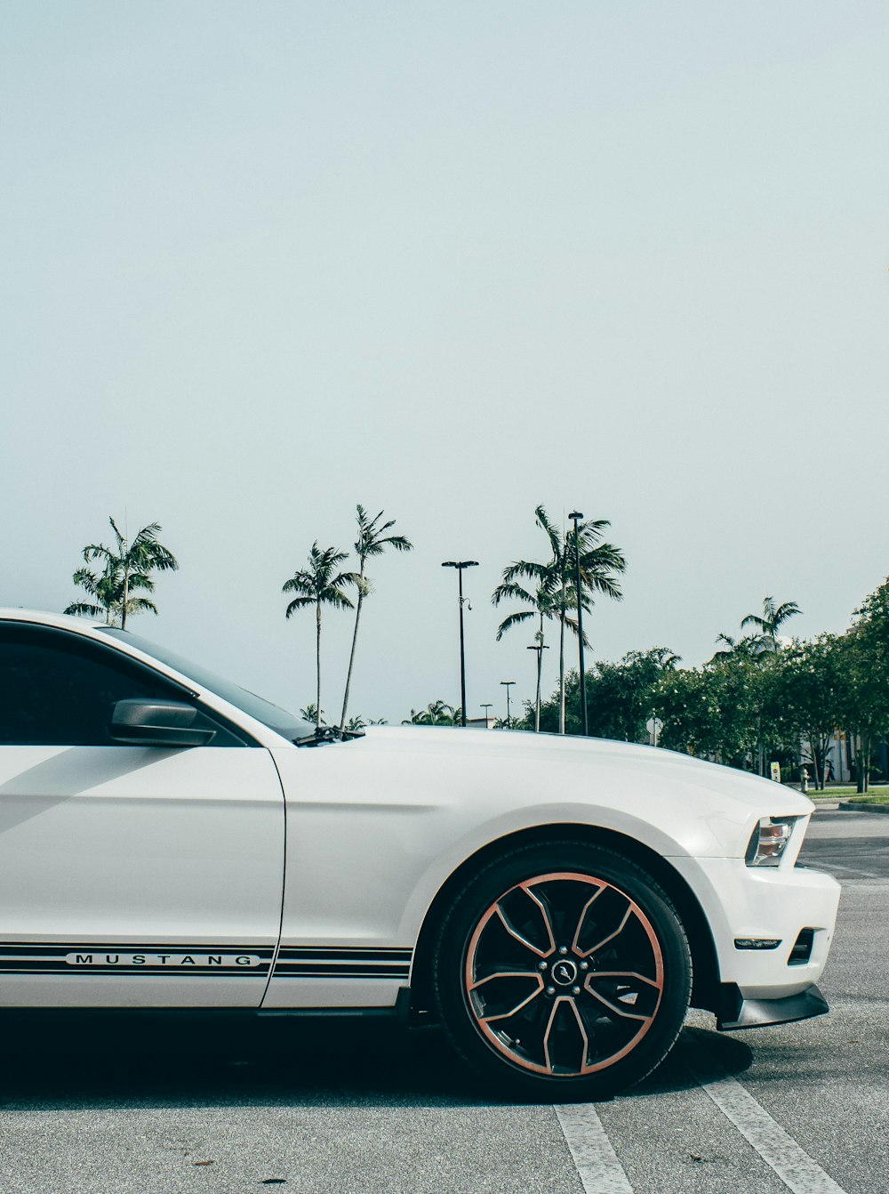 white car on road during daytime