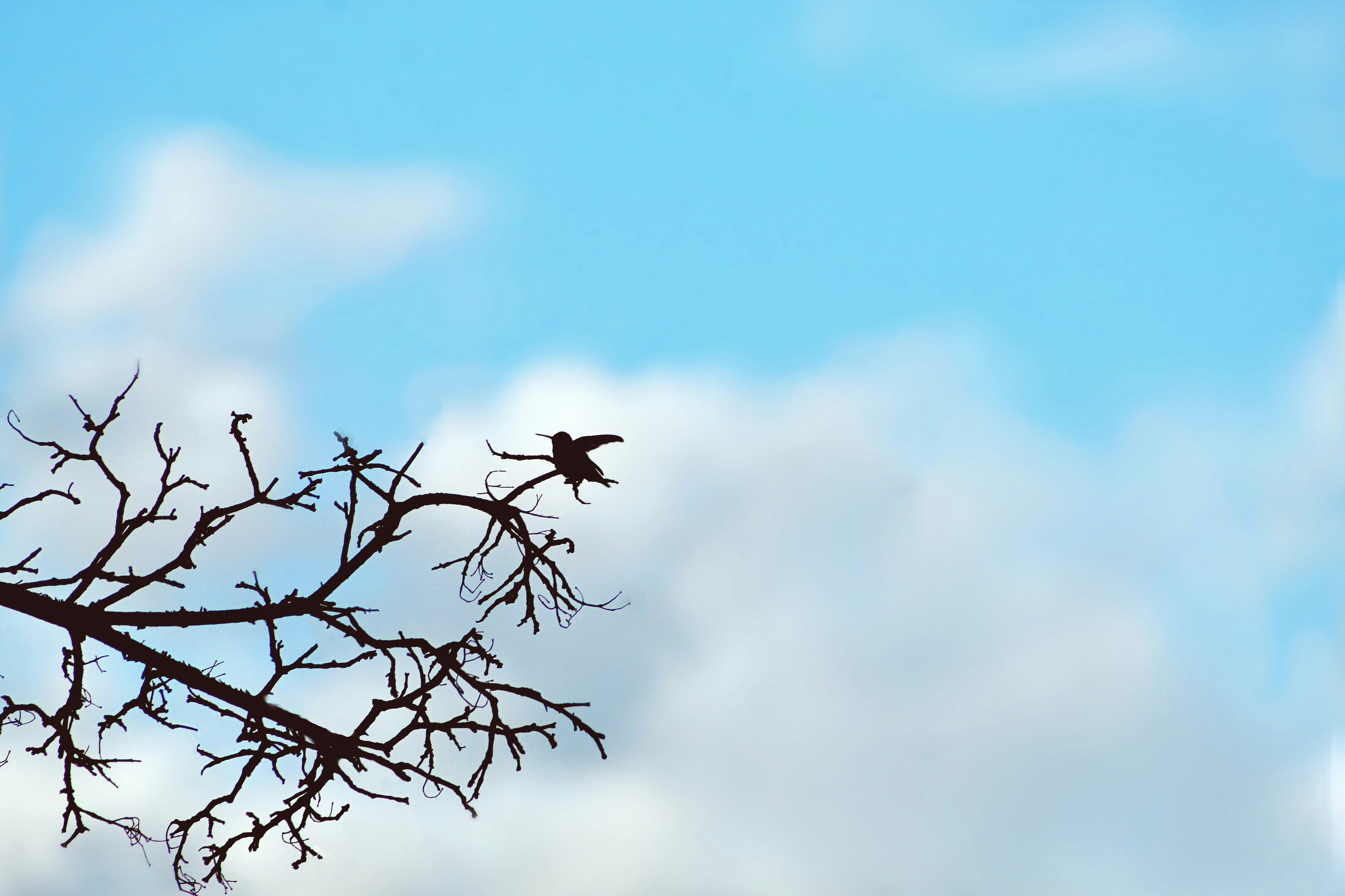 Photo by eertest