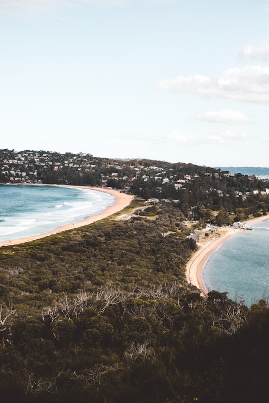 green trees near body of water during daytime in Palm Beach NSW Australia