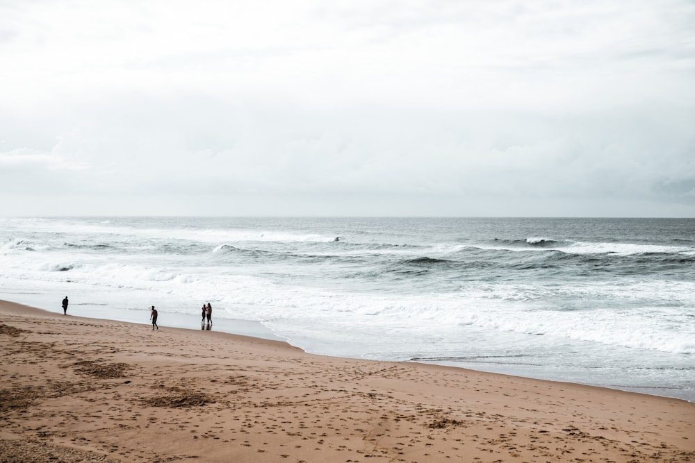 people walking on beach during daytime