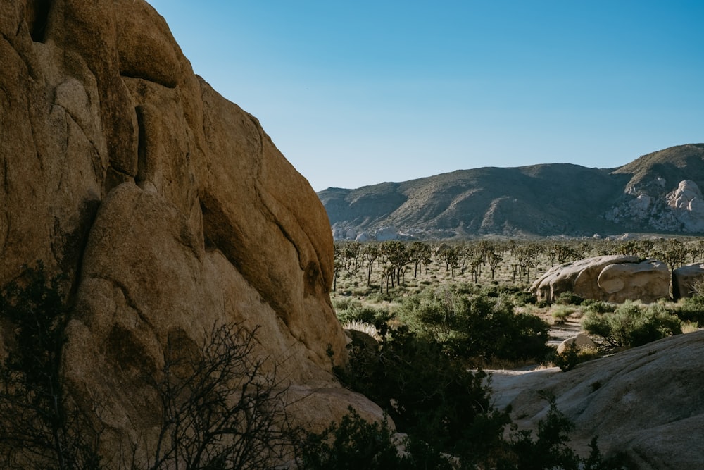 brown rocky mountain under blue sky during daytime