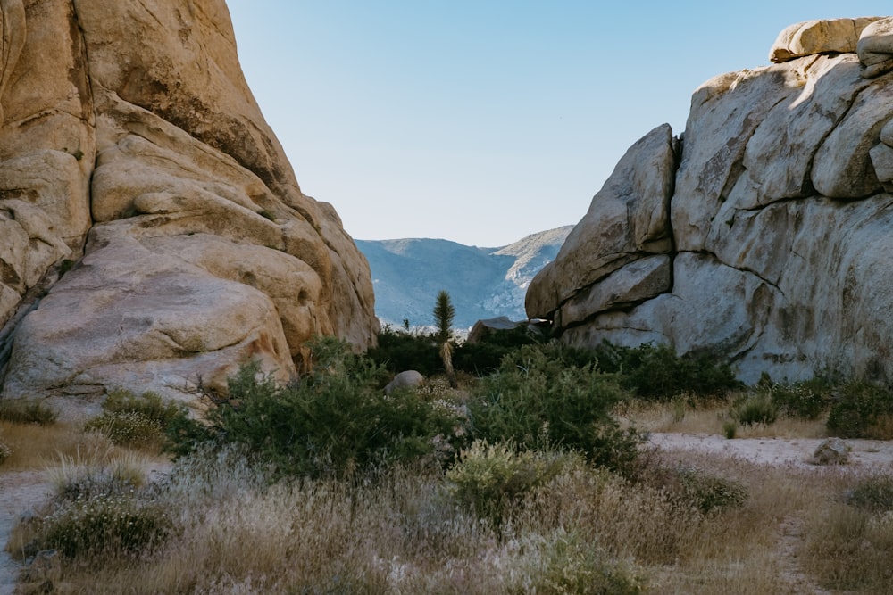 brown rock formation during daytime