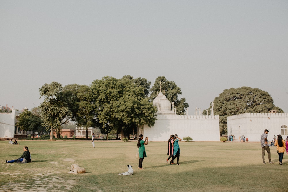 people walking on park during daytime