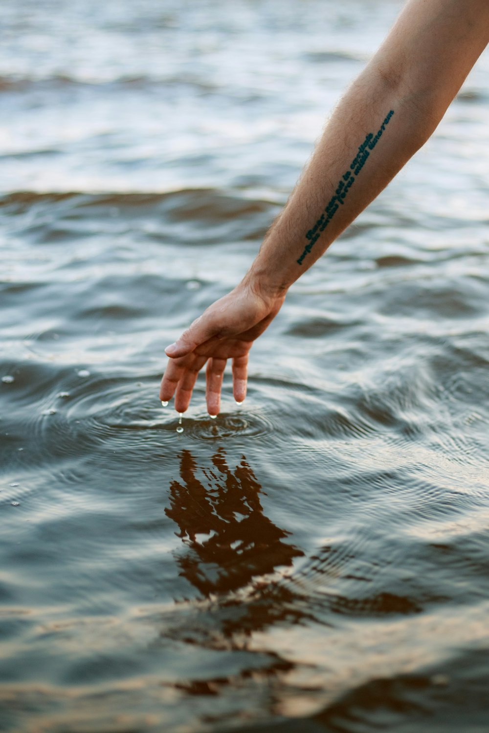 persons hand on water