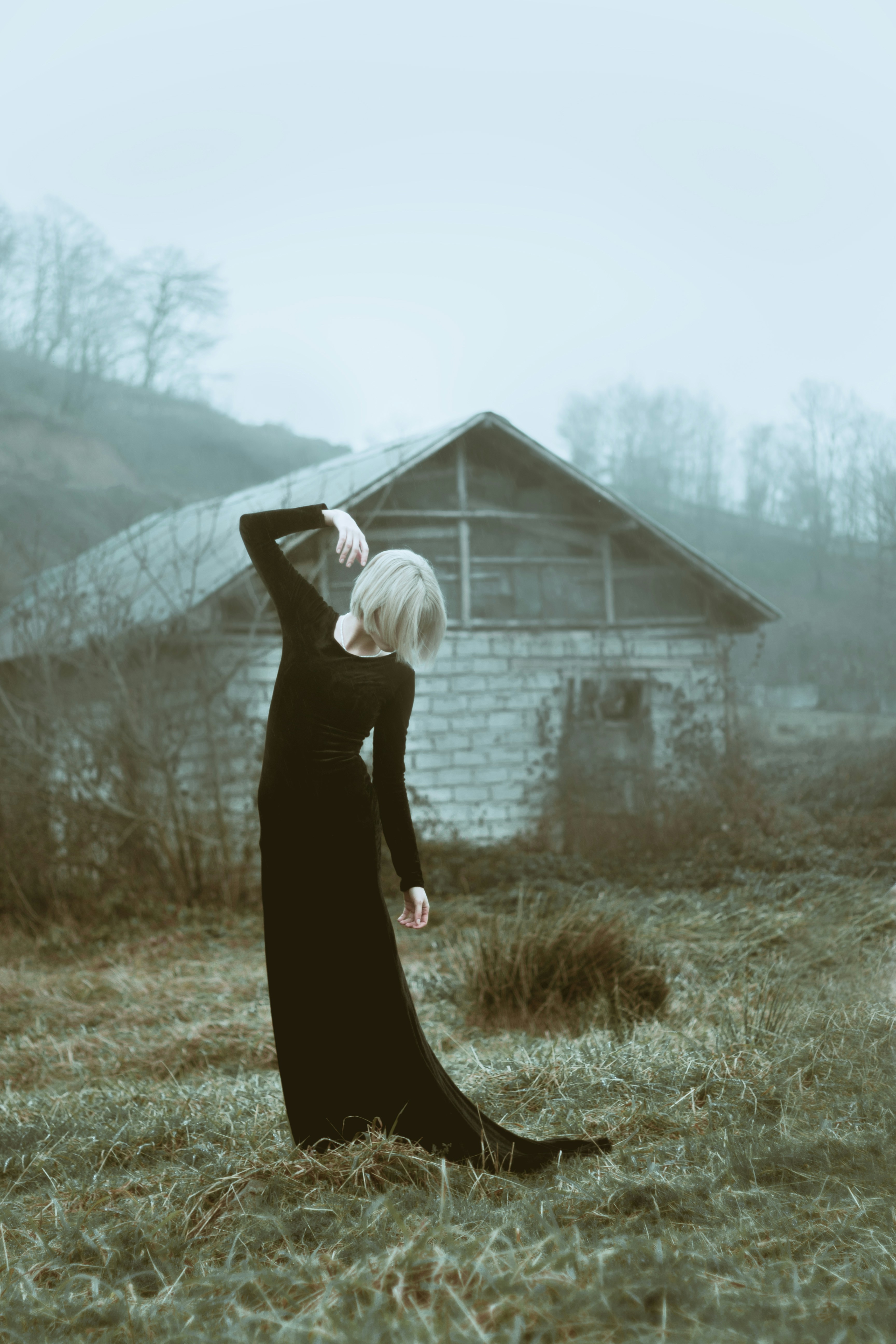 Photo by mehranbiabani