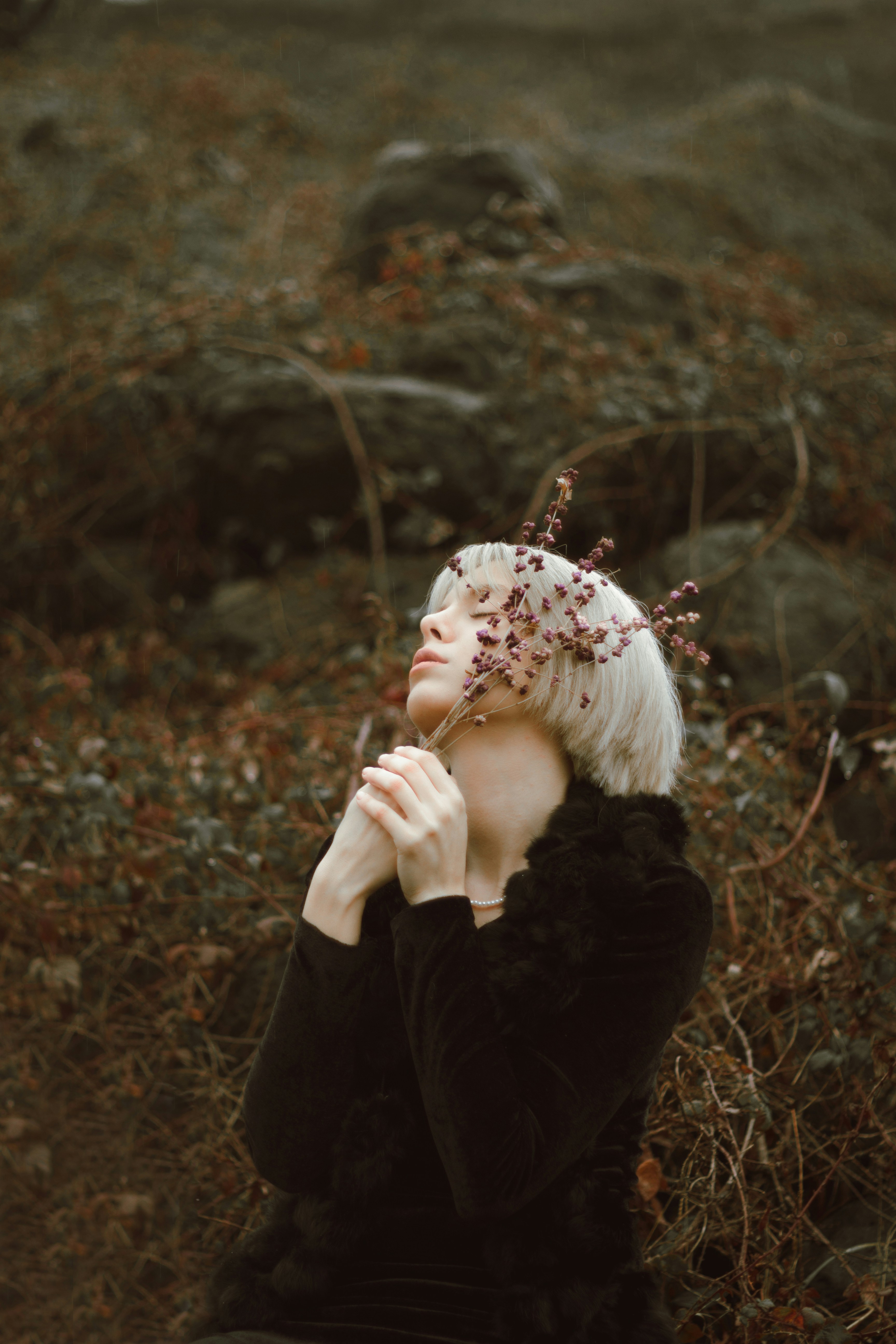 Photo by mehranbiabani