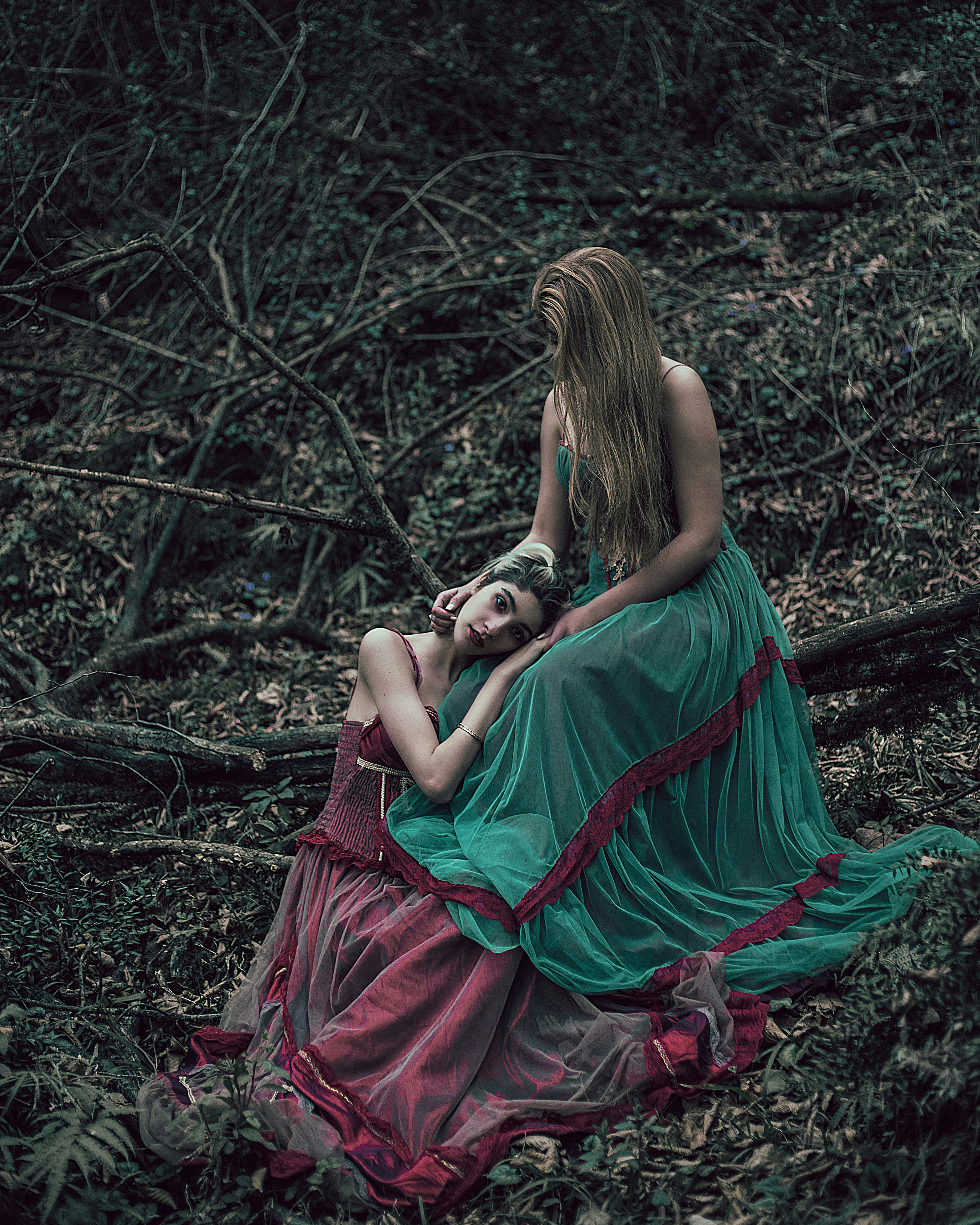Photo by mehranbiabani
