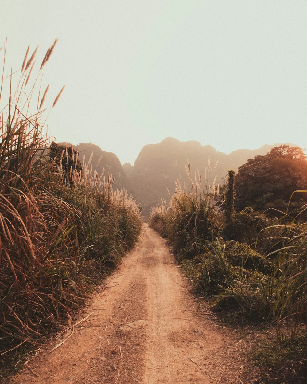 brown dirt road between green grass field during daytime