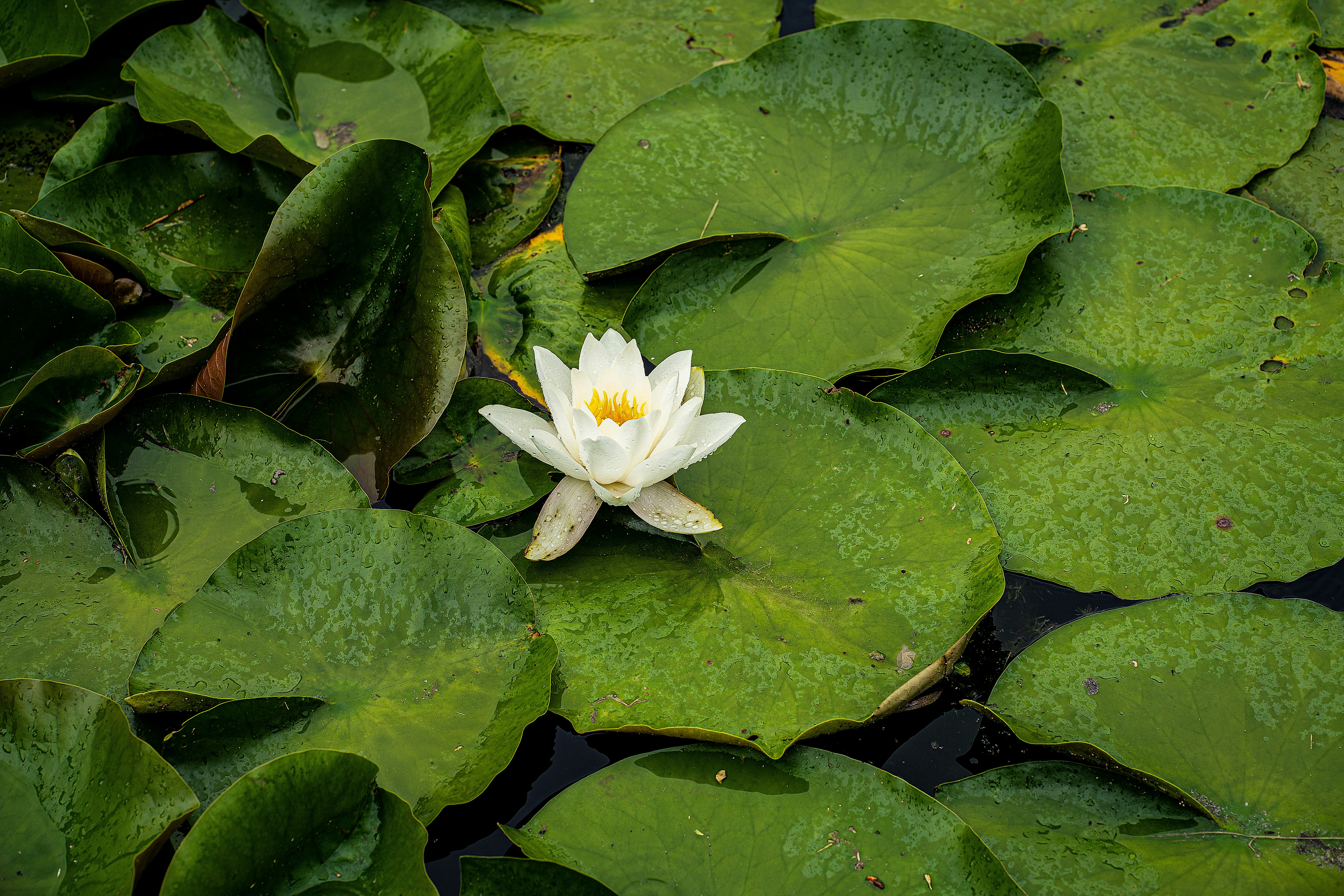 Photo by photowishme_2020