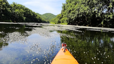 An orange kayak is floating on a calm river surrounded by lush green trees and hills. The water is dotted with small white flowers or aquatic plants, creating a tranquil and picturesque scene. The river reflects the greenery of the trees under a clear blue sky.