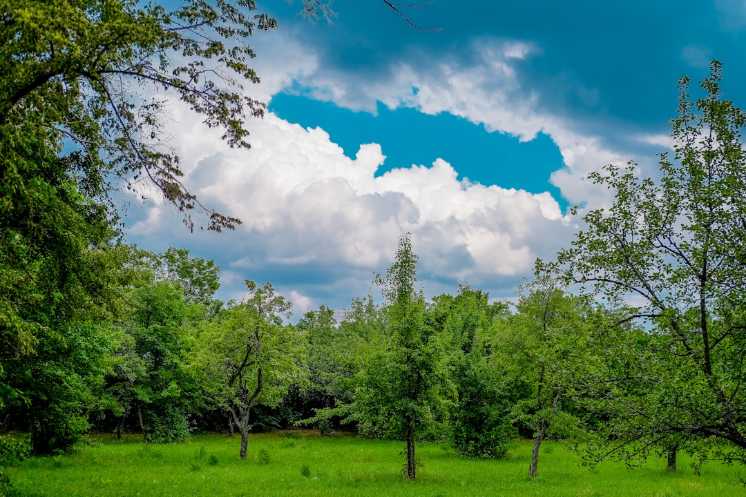 Ecoregion photo spot Byurakan Debet