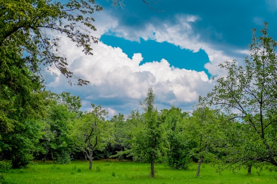 green trees under blue sky and white clouds during daytime in Byurakan Armenia