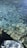 Clear water reveals the textured surface underneath, reflecting light and creating ripples across the surface. The bottom of the water features rocks and possibly a section of a platform or dock.