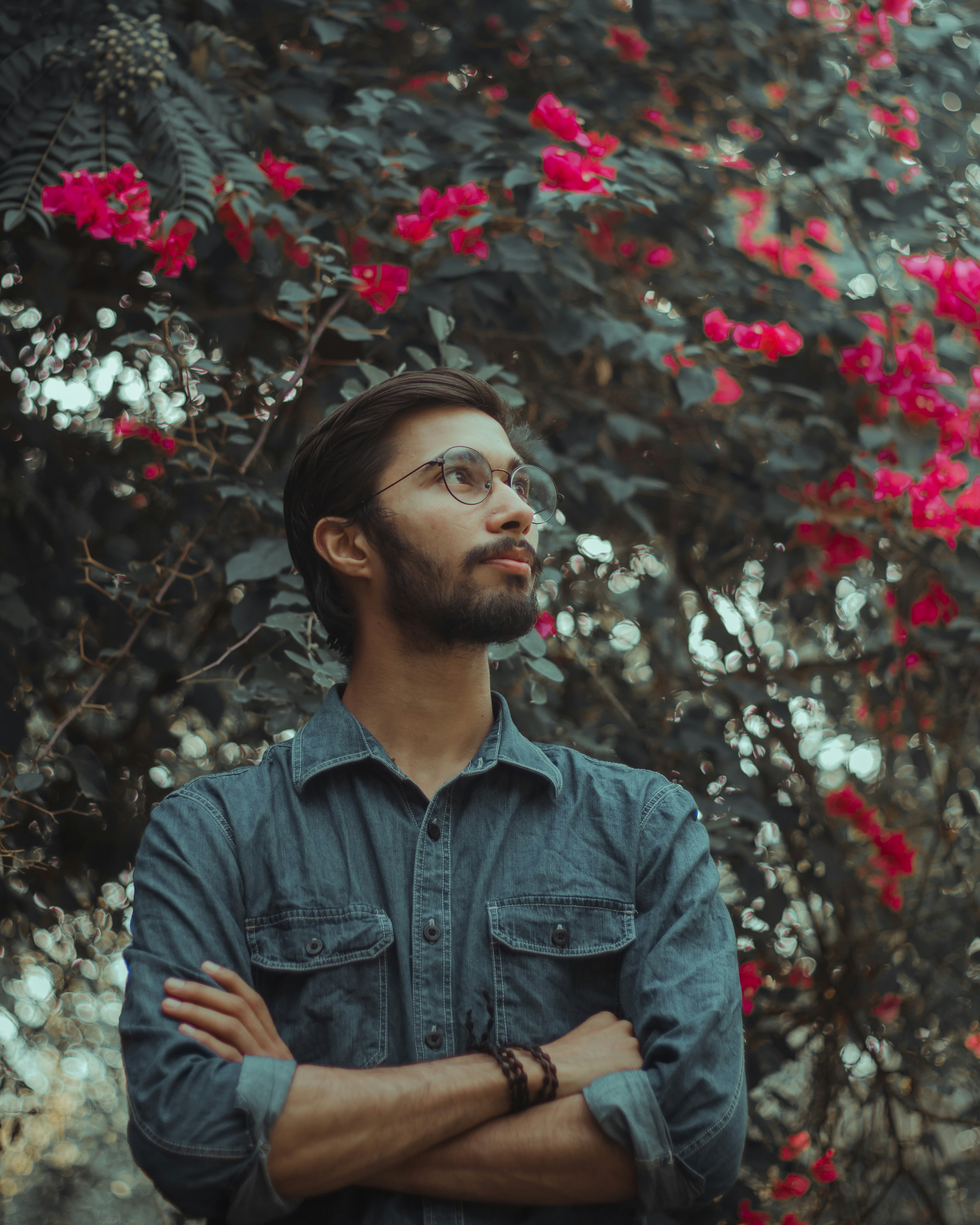 Photo by dollargill