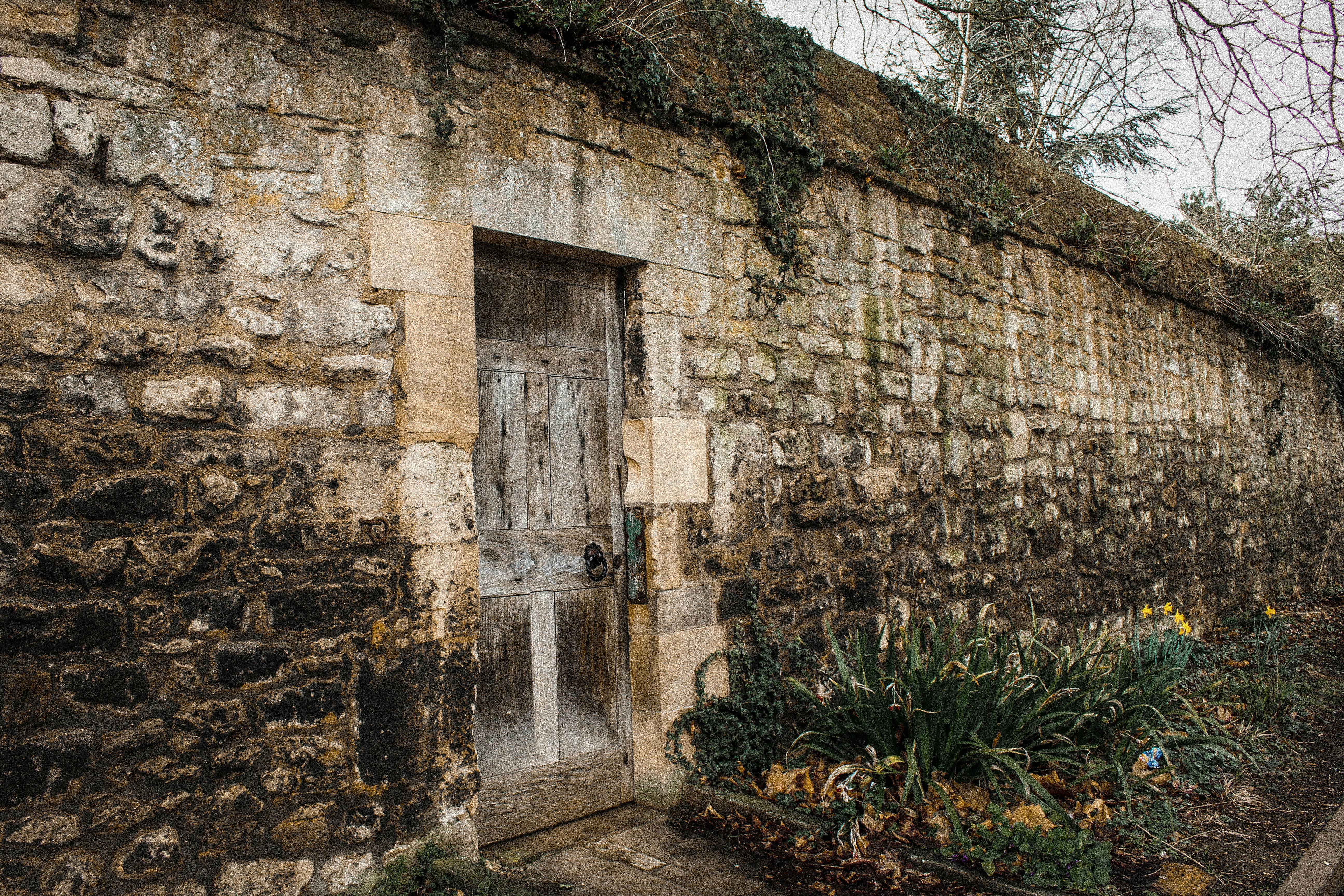 Mur de briques brunes avec des plantes vertes