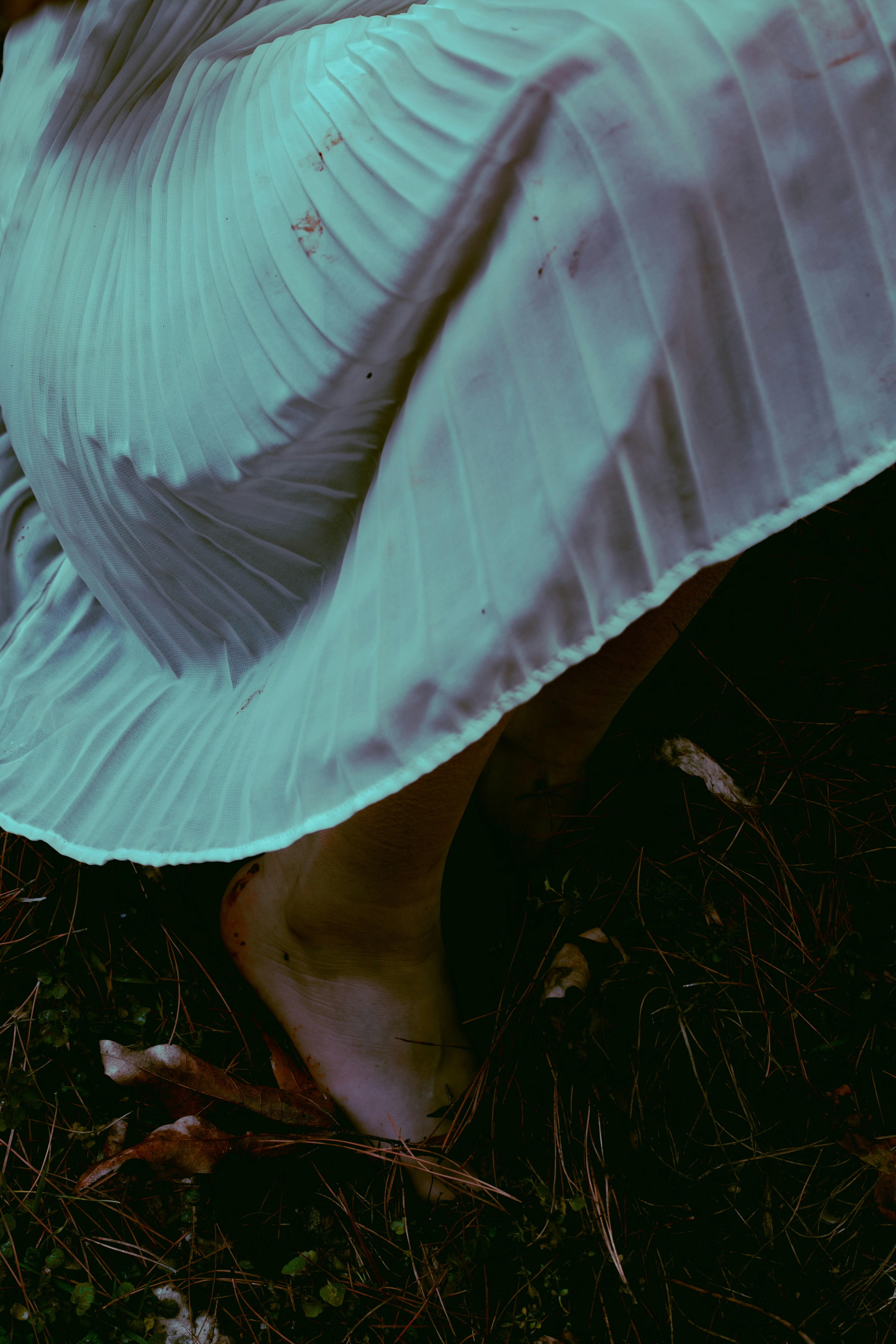 Photo by mehranbiabani