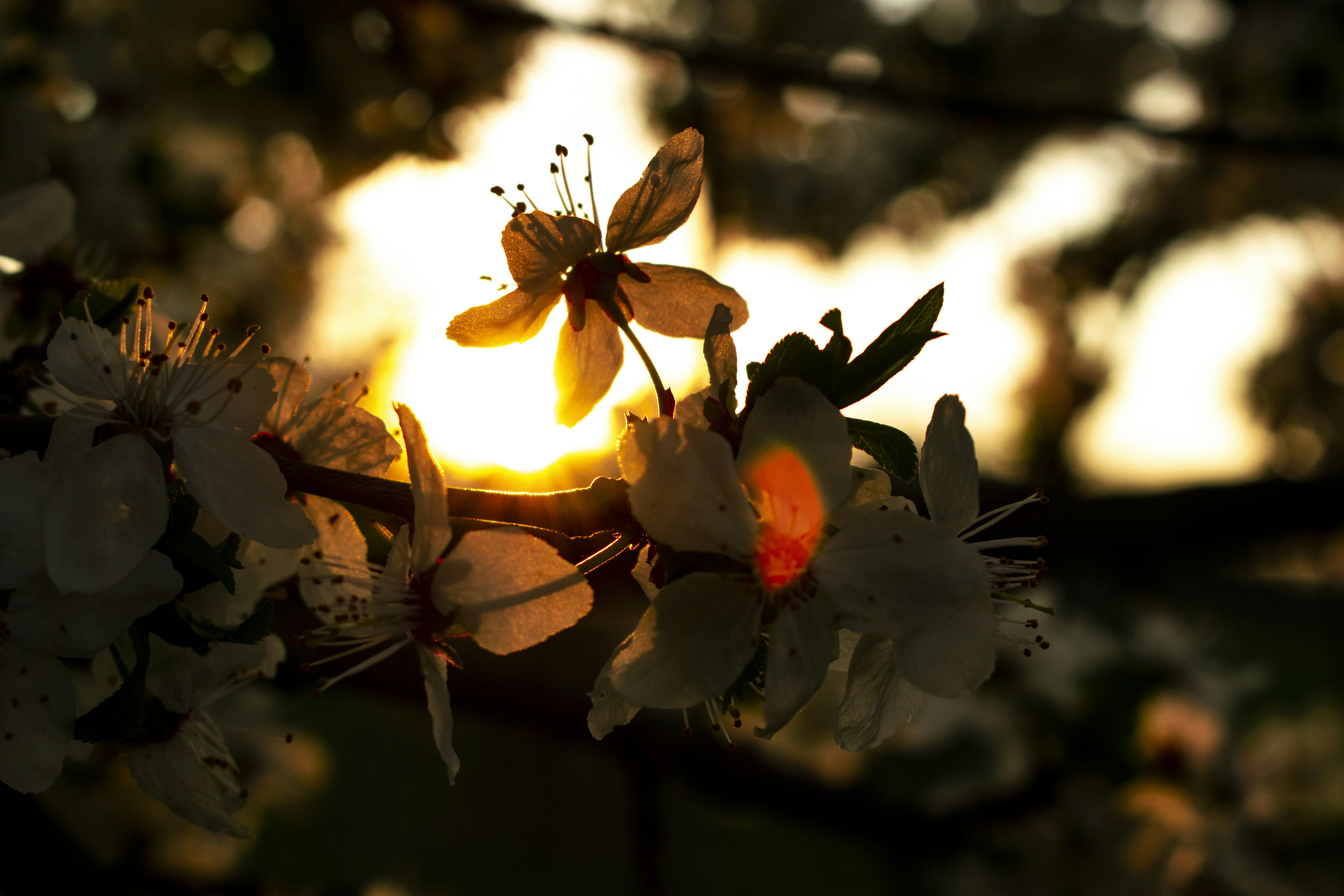 Photo by rostislavbudzan