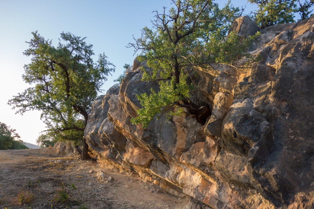 green trees on brown rocky mountain during daytime