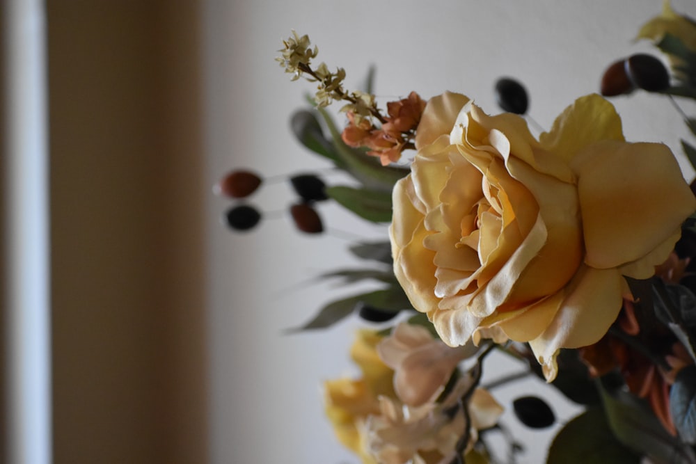 yellow rose in white ceramic vase