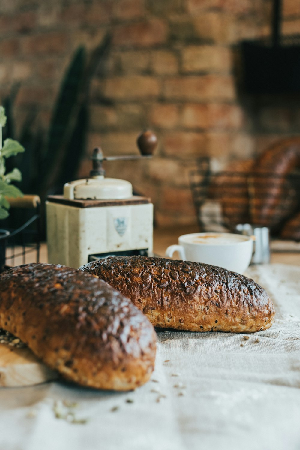 brown bread on white ceramic plate