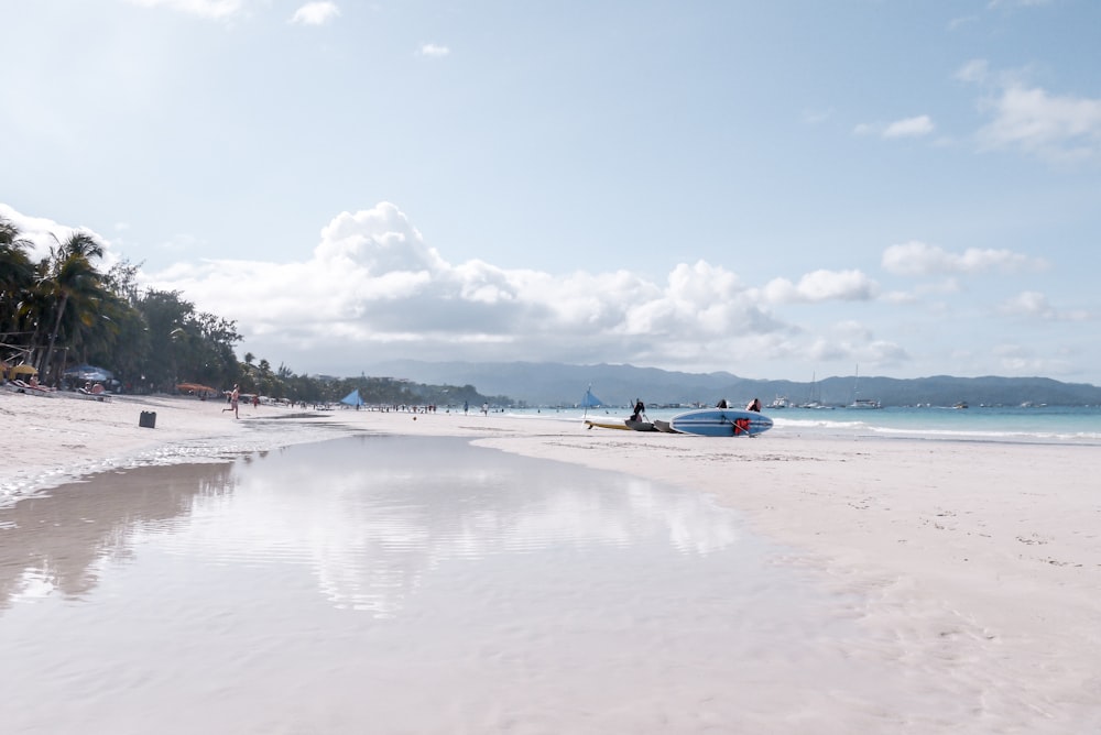 people on beach during daytime