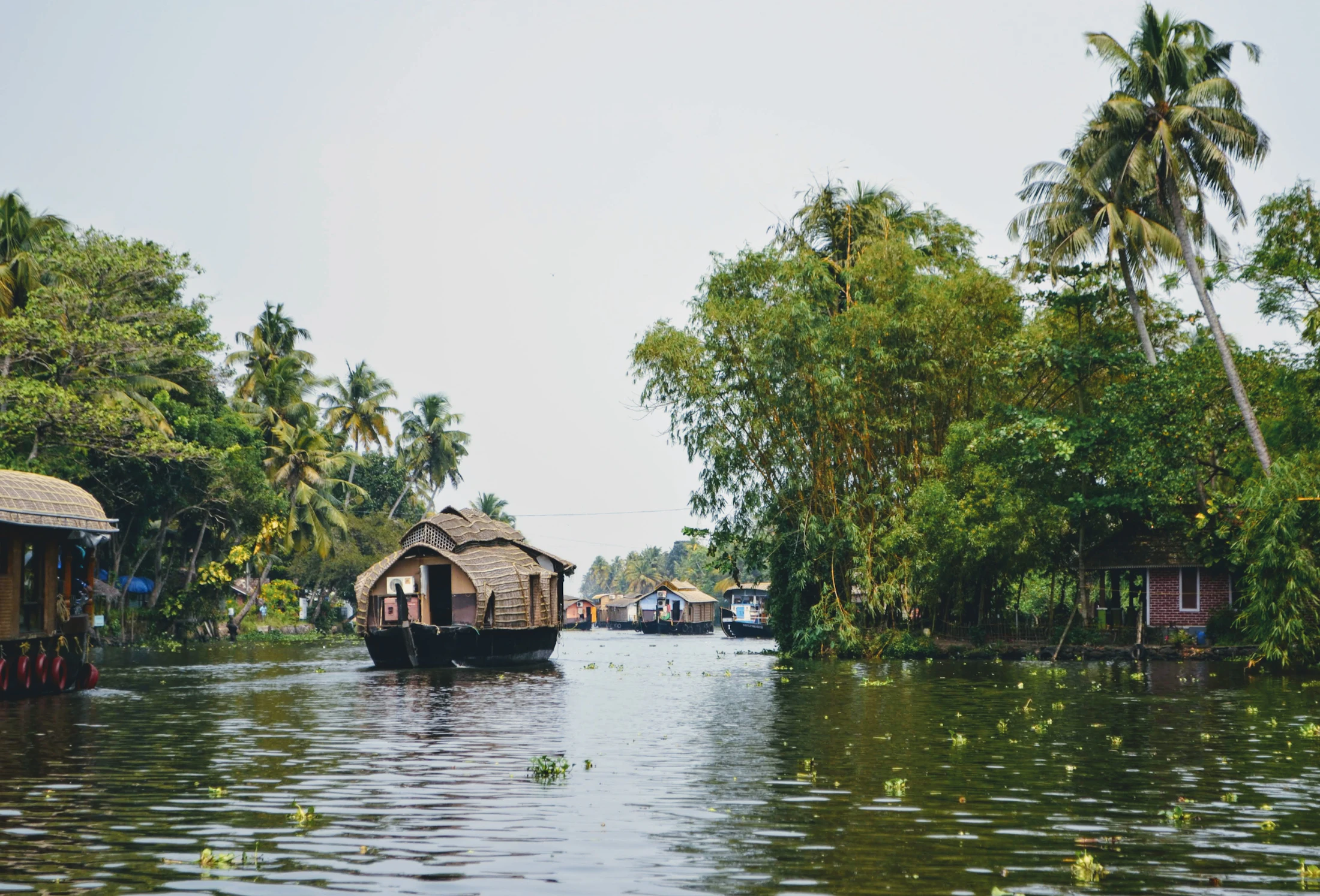 A houseboat gliding past waterside homes in the Alleppey backwaters