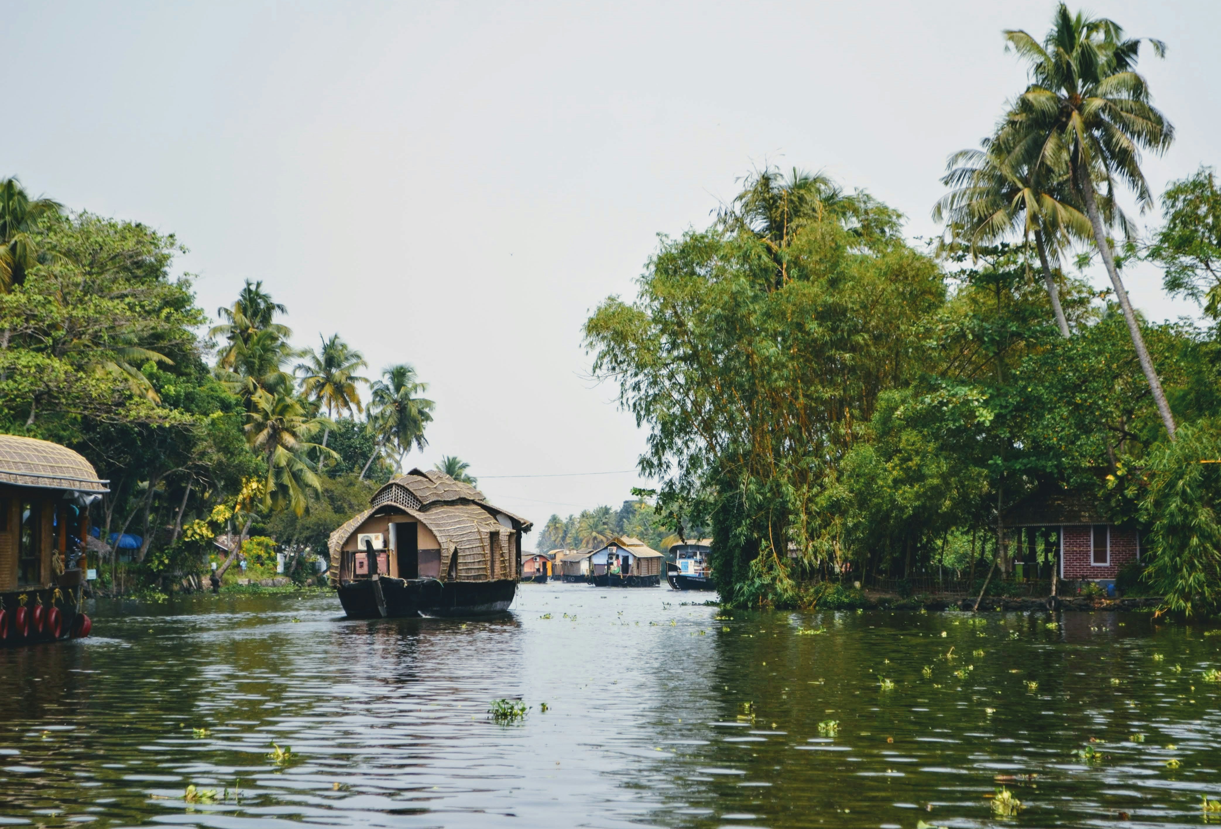 The babmoo cruises of Poovar