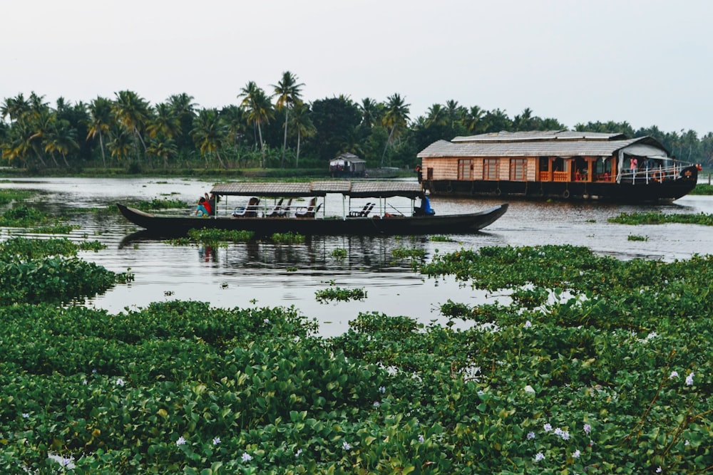 boat on water near green trees during daytime