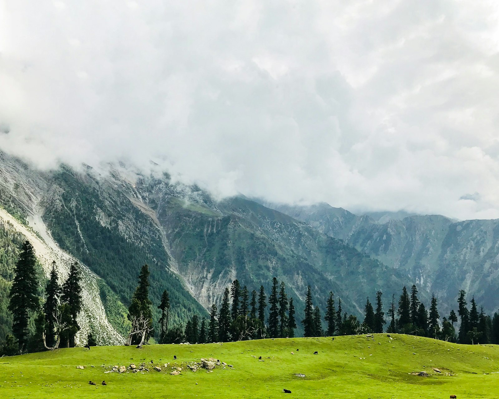 Green meadow with mountains in Gulmarg, Kashmir